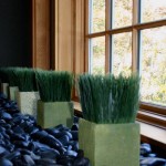 Ekstrom/Metzmaker Residence Potted Grass Detail